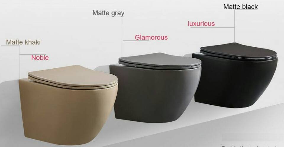 matte color toilet 1