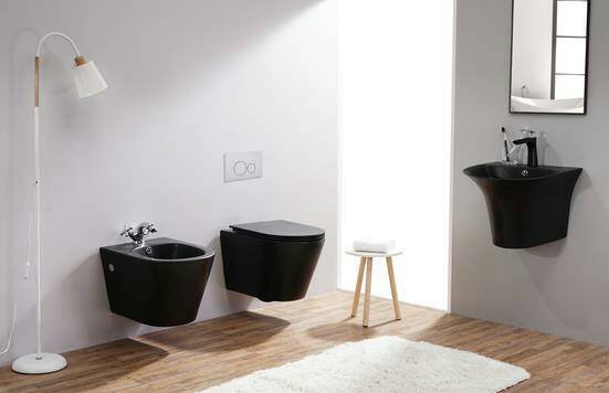 matte color toilet 2