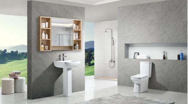 bathroom sanitary ware toilet
