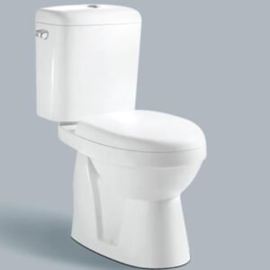 bathroom toilet sanitary ware vt 21