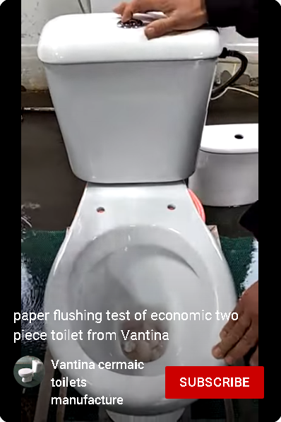 flushing toilet paper