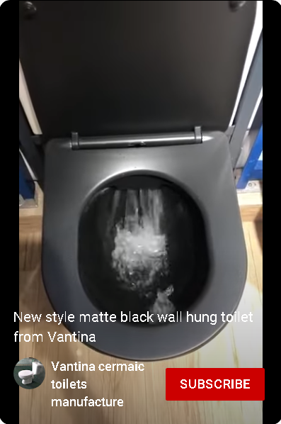 matte black wall hung toilet