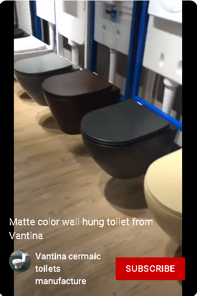 matte color wall hung toilet