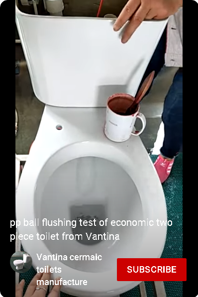 pp ball flushing toilet